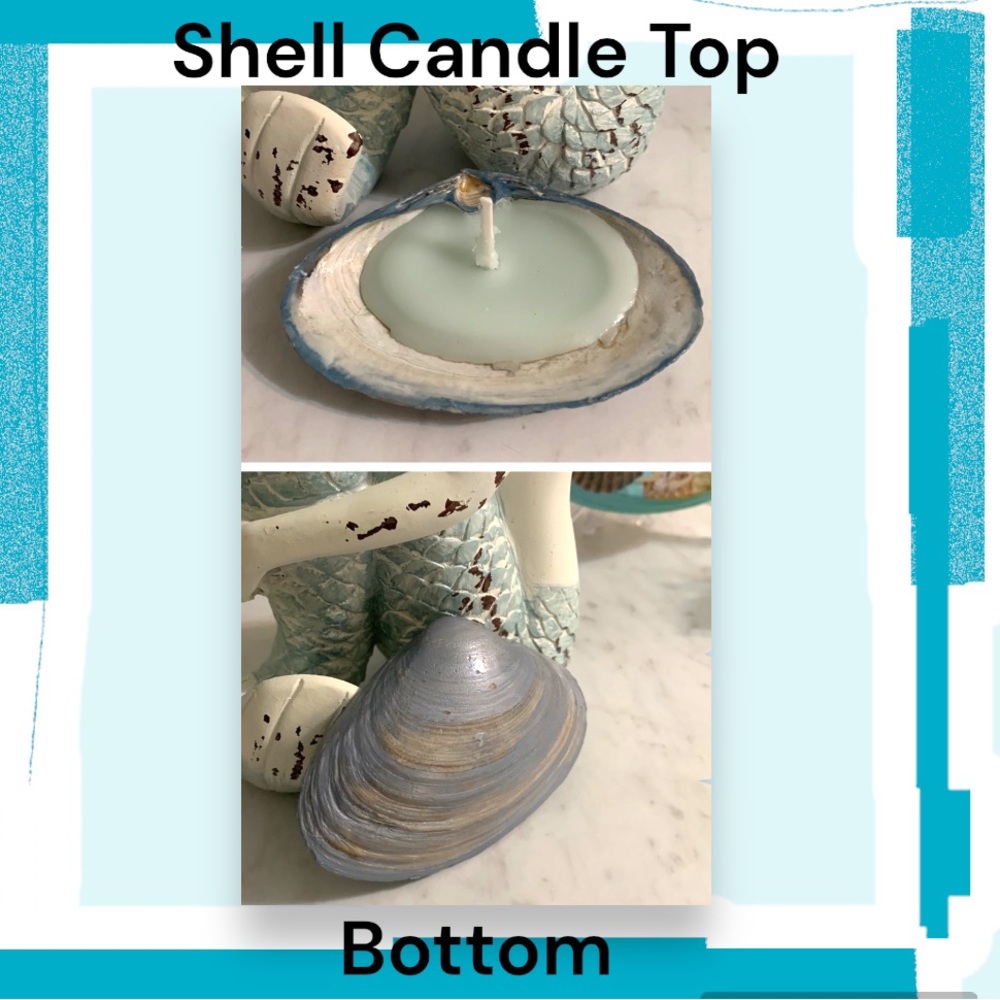 Hand Crafted  Soy Wax Candle in a Seashell
